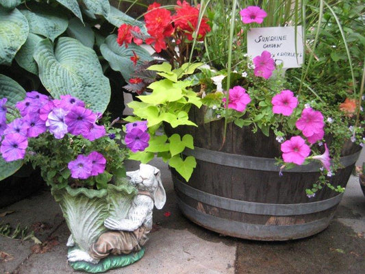 10 Engaging Garden Signs (article)