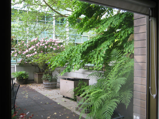 Not an Expert Gardener? Eight Nature-Based Programs You Can Easily Facilitate
