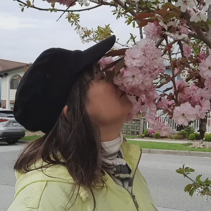 Load video: Rubbing my face into soft cherry blossoms still on the tree