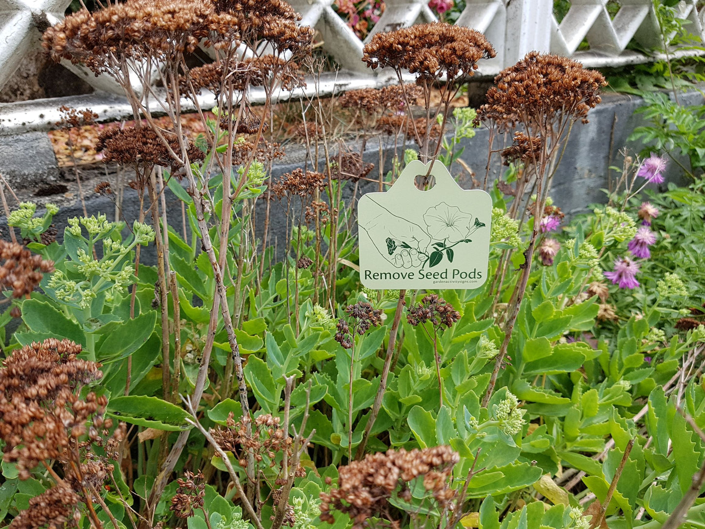 6 Hands-on Gardening Plant Tags