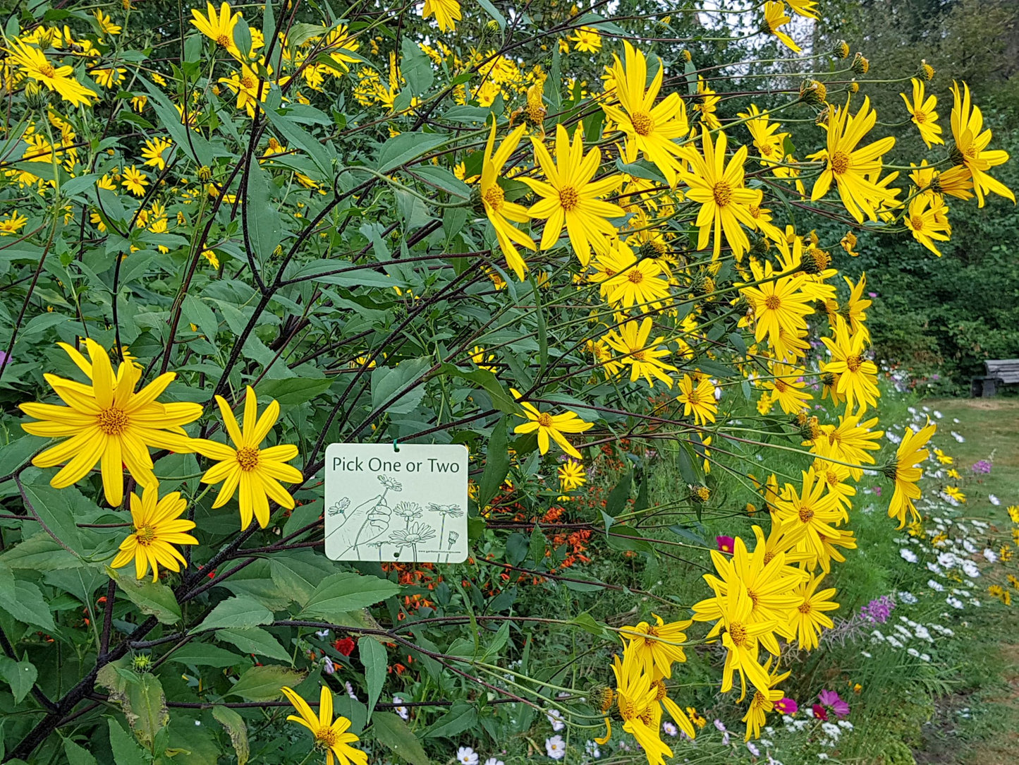 6 Attachable Hands-on Gardening Signs