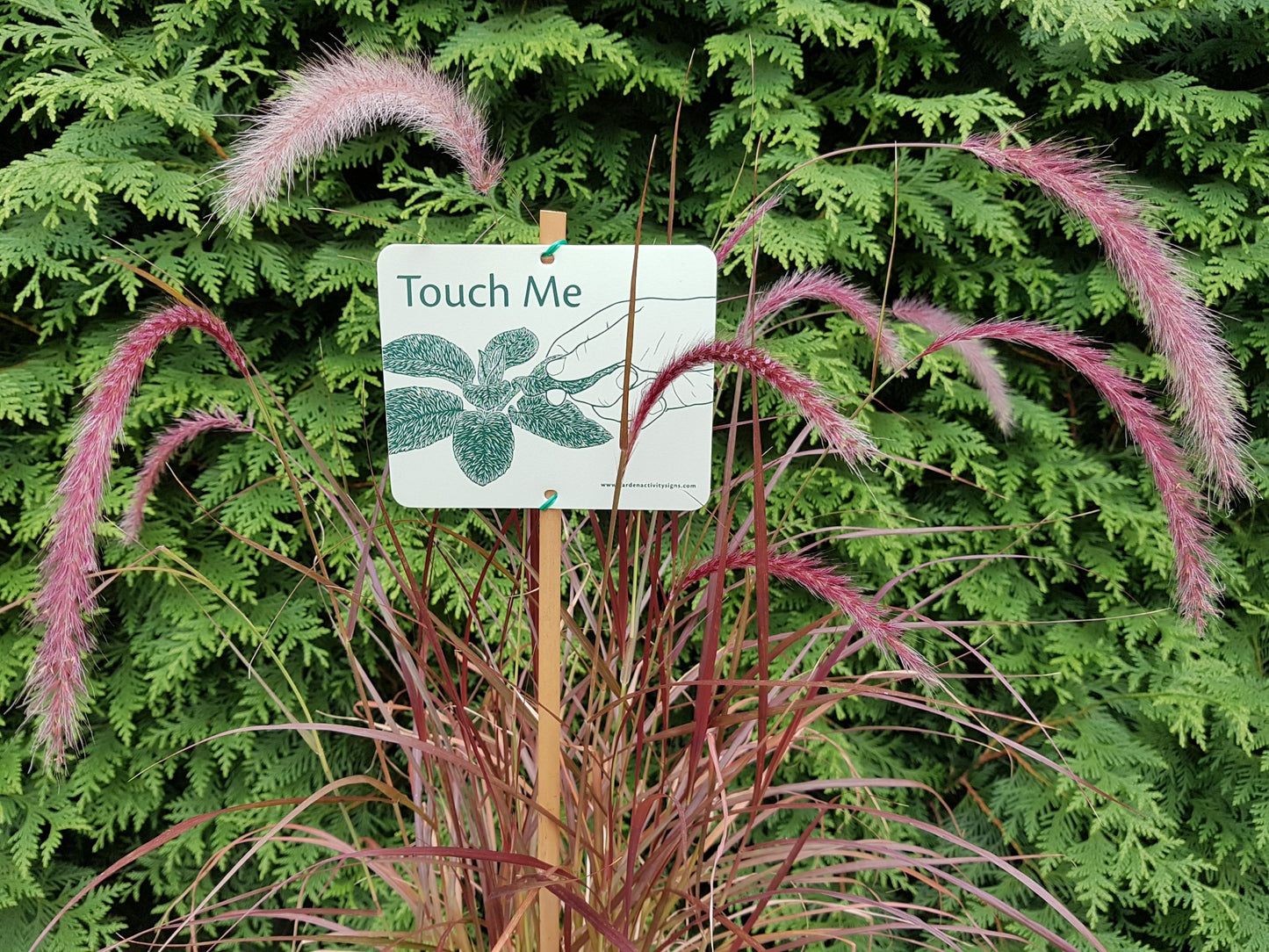 6 Attachable Sensory Garden Signs