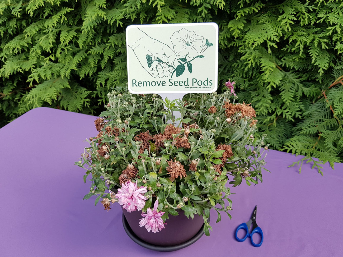 6 Hands-on Gardening Signs with Stakes