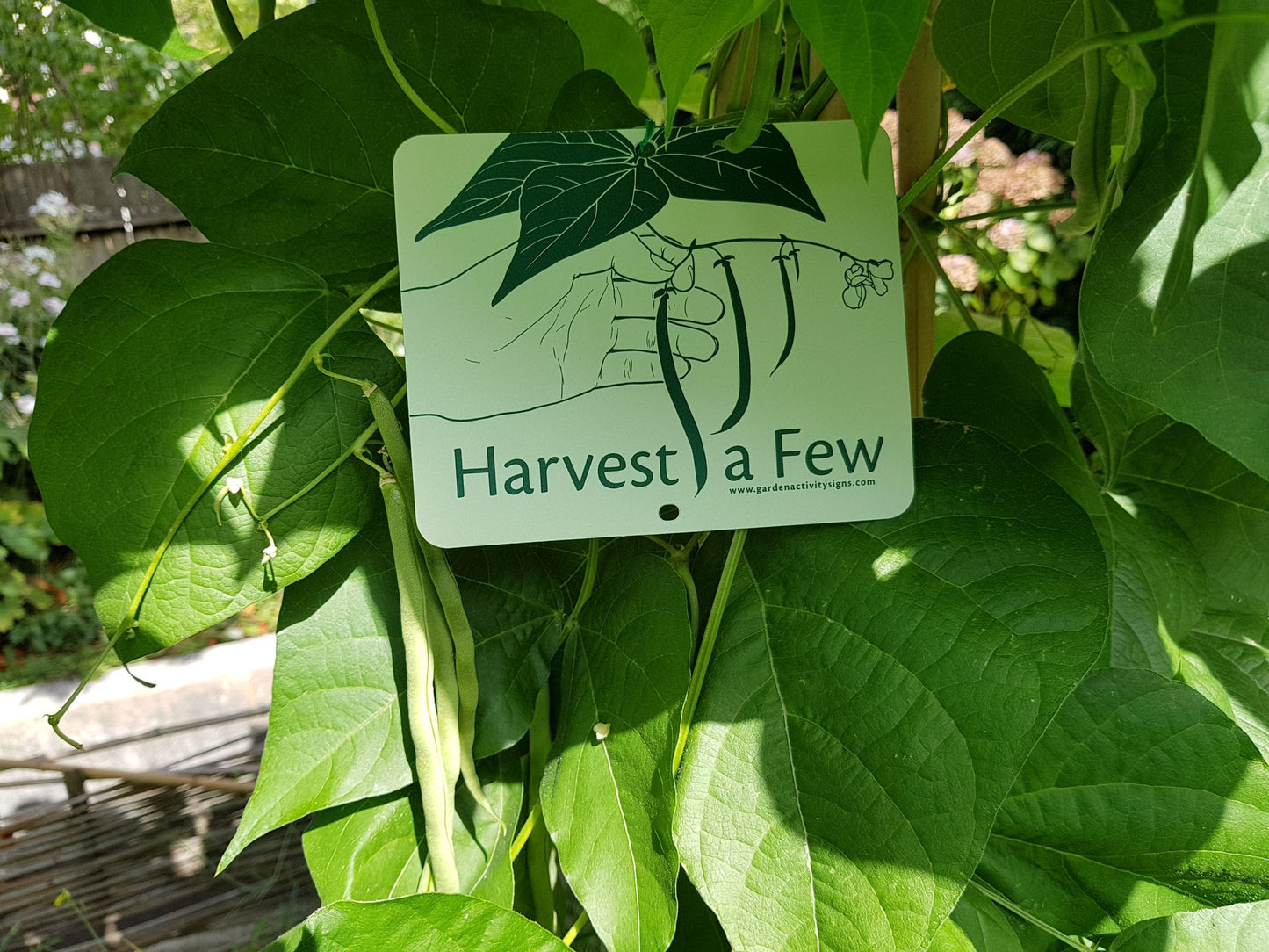 6 Attachable Hands-on Gardening Signs