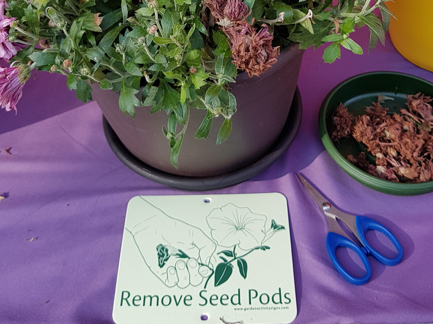 6 Attachable Hands-on Gardening Signs