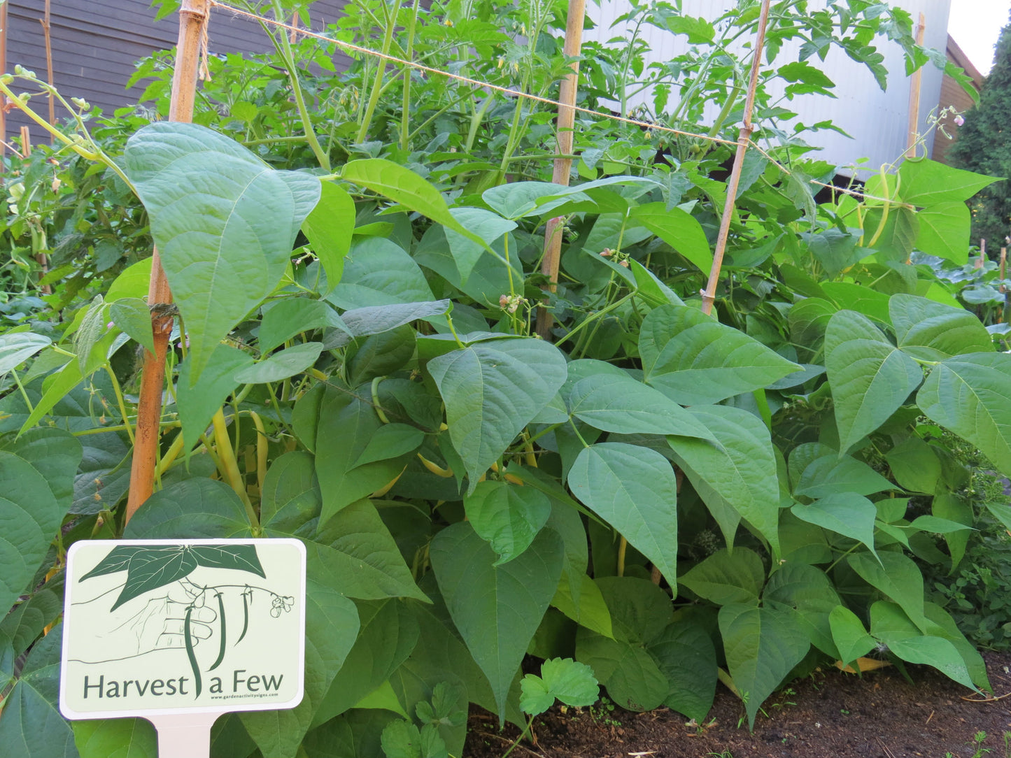 6 Hands-on Gardening Signs with Stakes