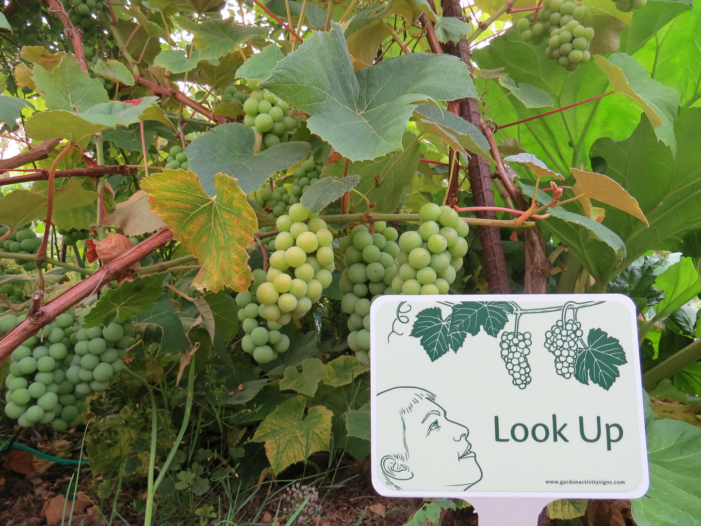 6 Sensory Garden Signs with Stakes