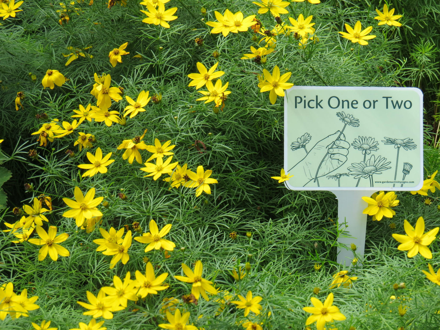 6 Hands-on Gardening Signs with Stakes