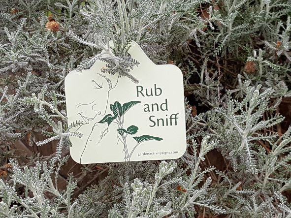 Single Plant Tags