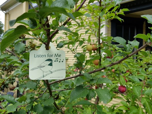 Single Plant Tags