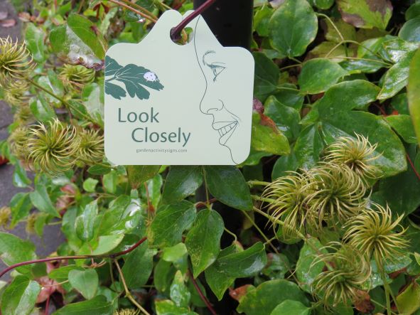 Single Plant Tags