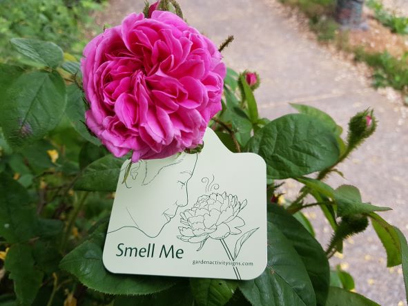 Single Plant Tags
