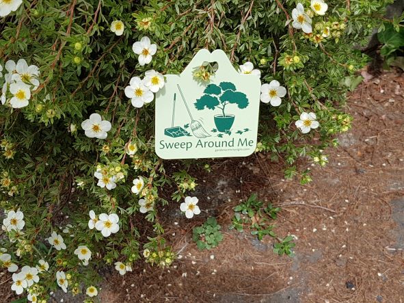 Single Plant Tags