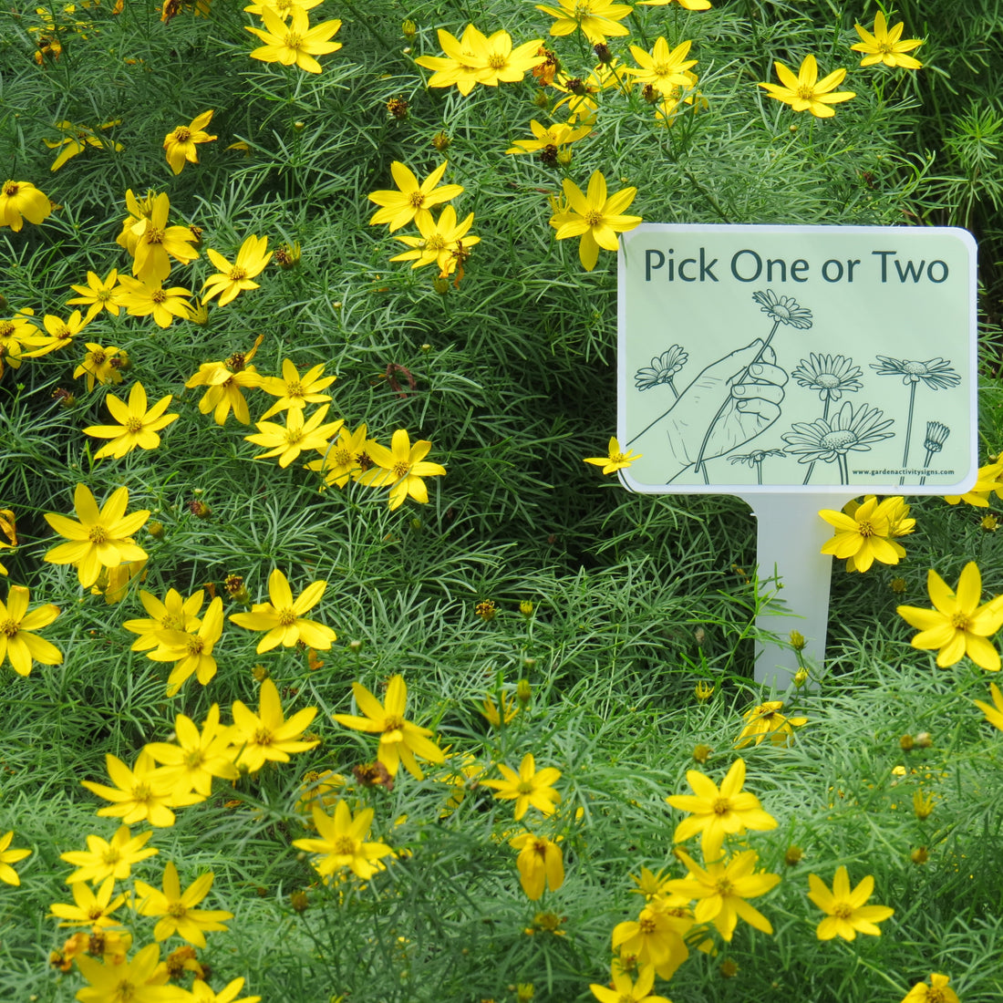 Garden Activity Signs have all arrived!