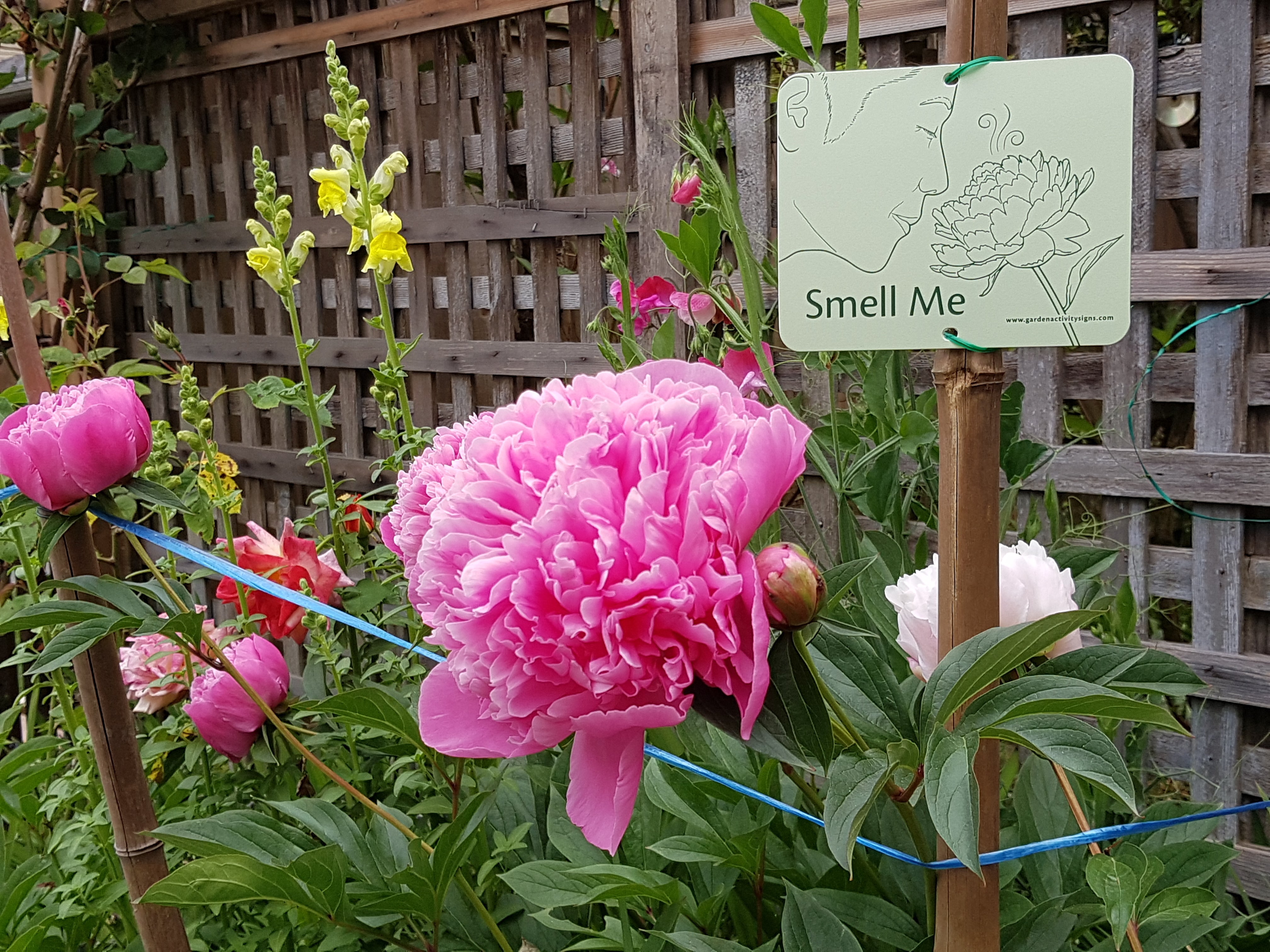 - Attachable Garden Signs - – Thrive With Nature