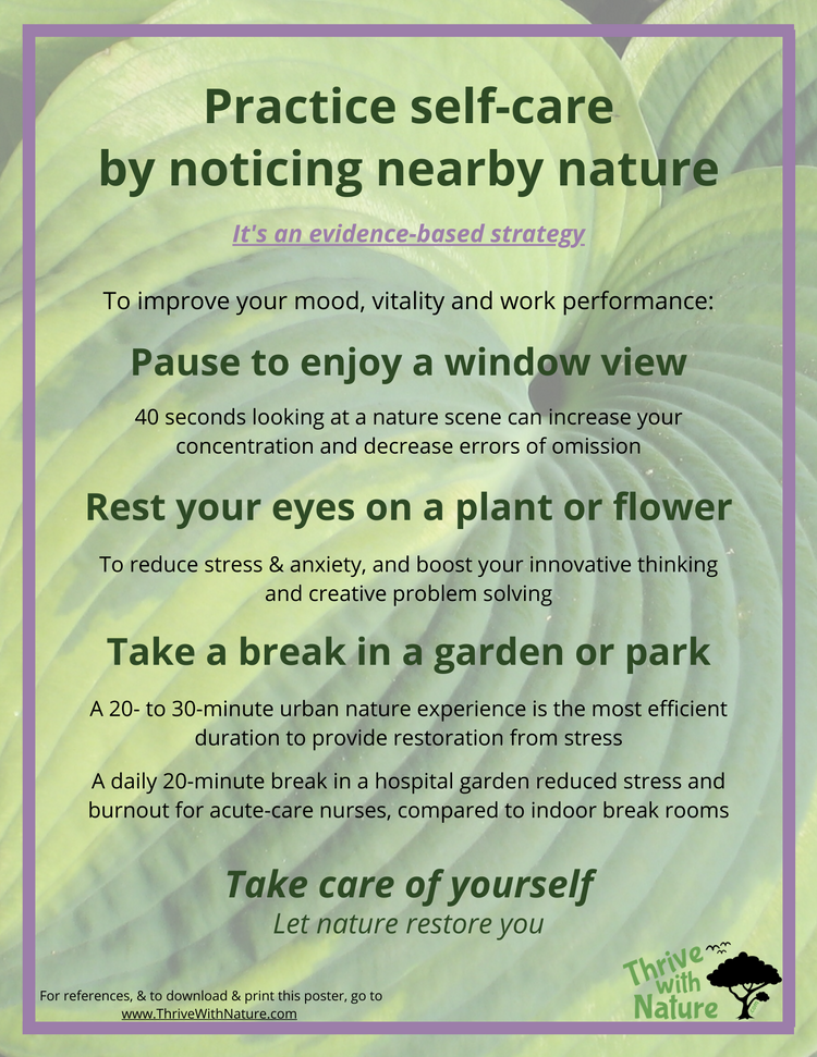 Garden Activity Signs – Thrive With Nature