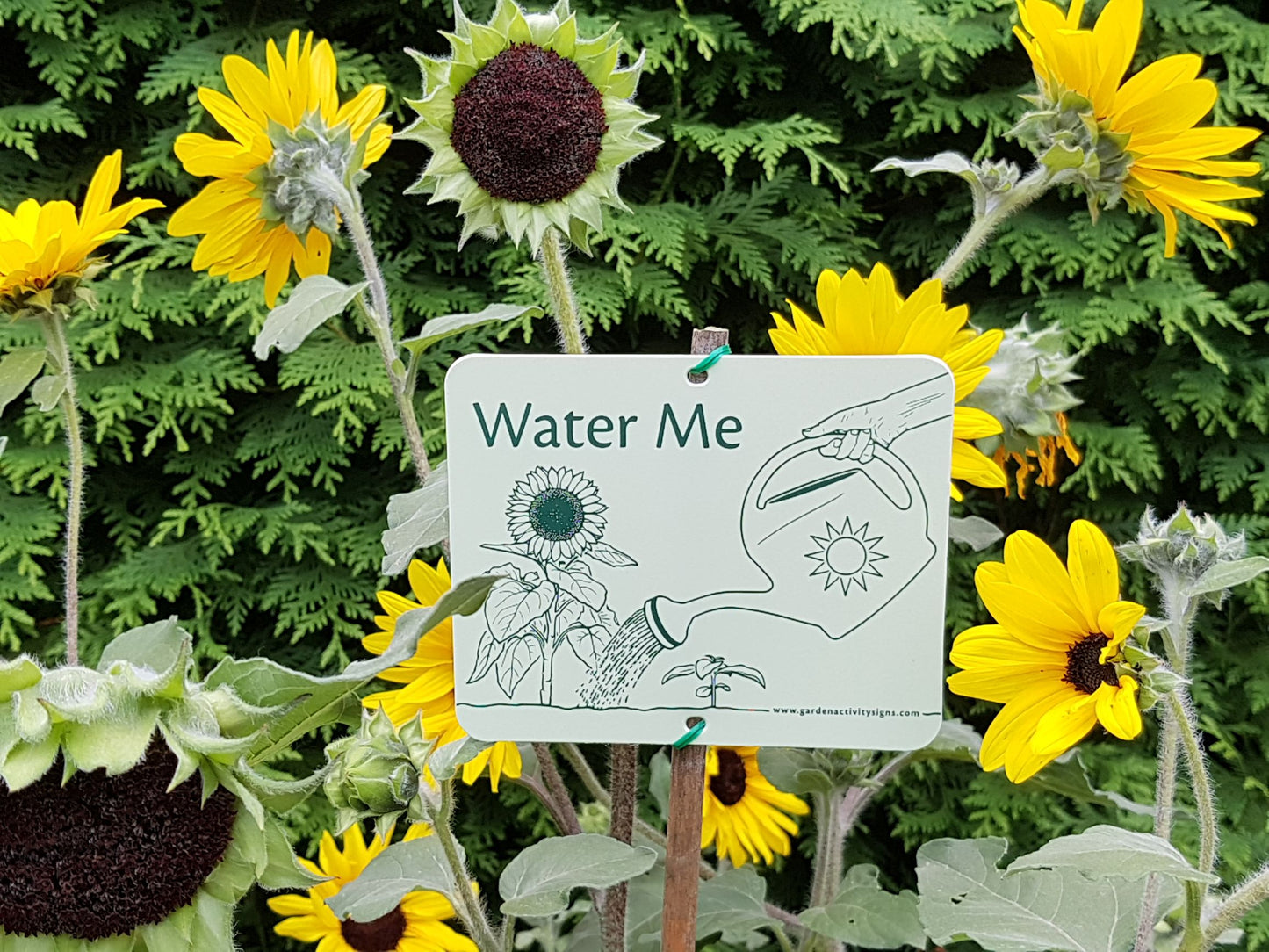 6 Attachable Hands-on Gardening Signs