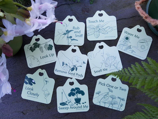 Houseplant Lovers' Plant Tag Gift Set