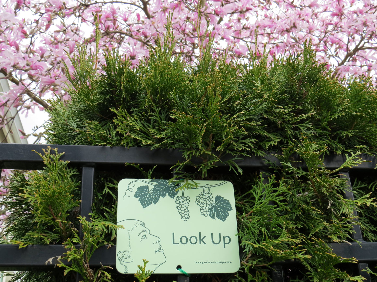 6 Attachable Sensory Garden Signs