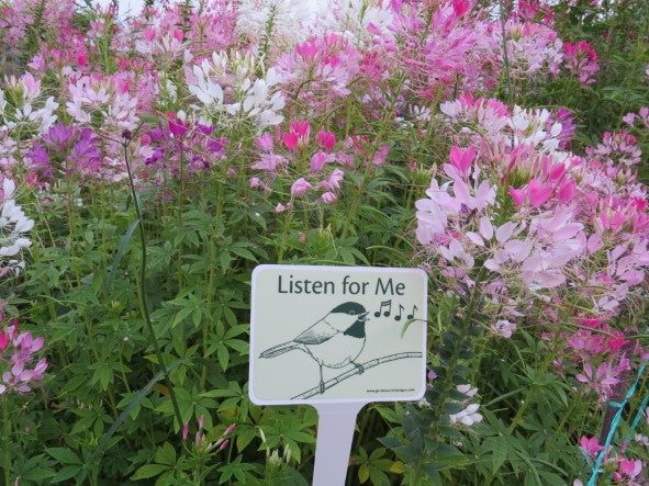 Single Stake Signs