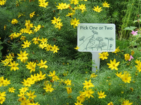 Single Stake Signs