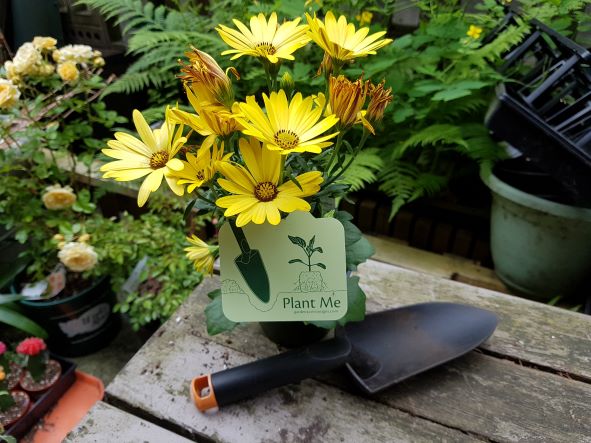 Single Plant Tags