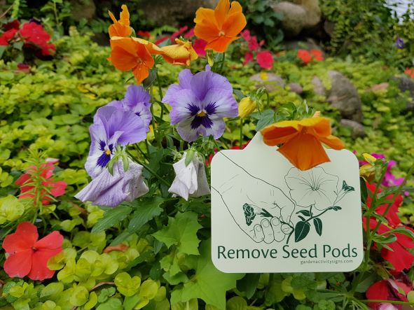 Single Plant Tags